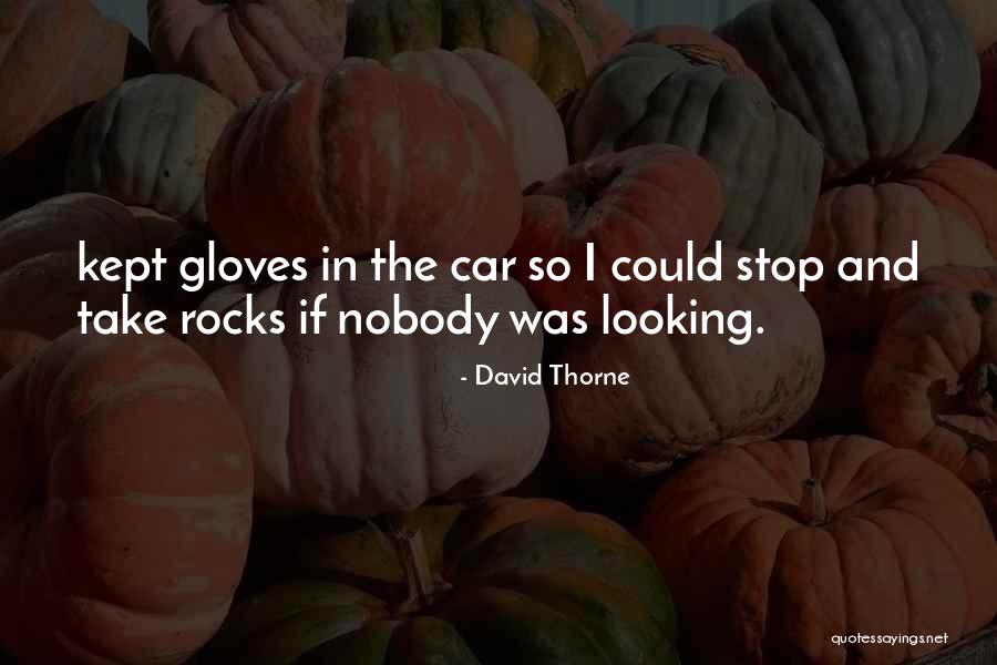 David Thorne Quotes 1161799