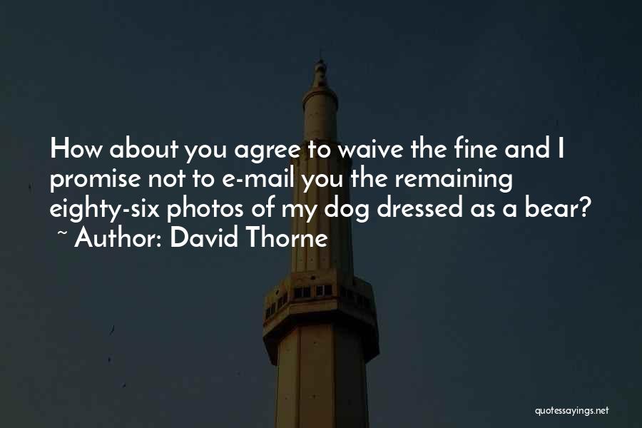 David Thorne Quotes 1288311