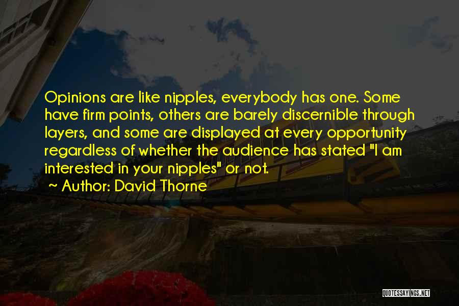 David Thorne Quotes 1804994