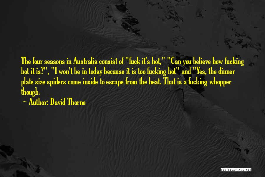 David Thorne Quotes 1817308