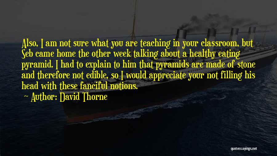 David Thorne Quotes 2199450