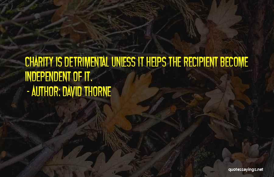 David Thorne Quotes 804086