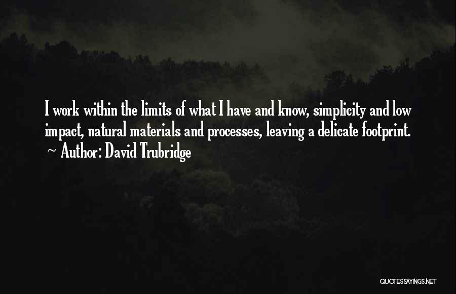 David Trubridge Quotes 633909