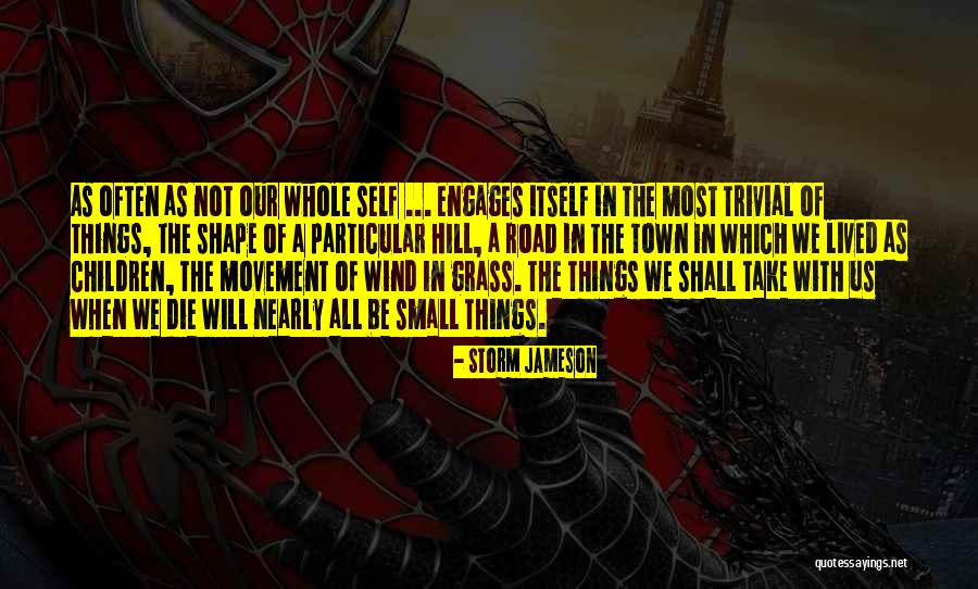 David Tua Famous Quotes By Storm Jameson David Tua Famous Quotes By Storm Jameson