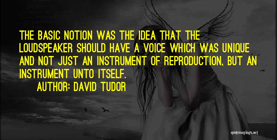 David Tudor Quotes 1052593