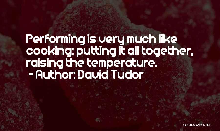 David Tudor Quotes 521500