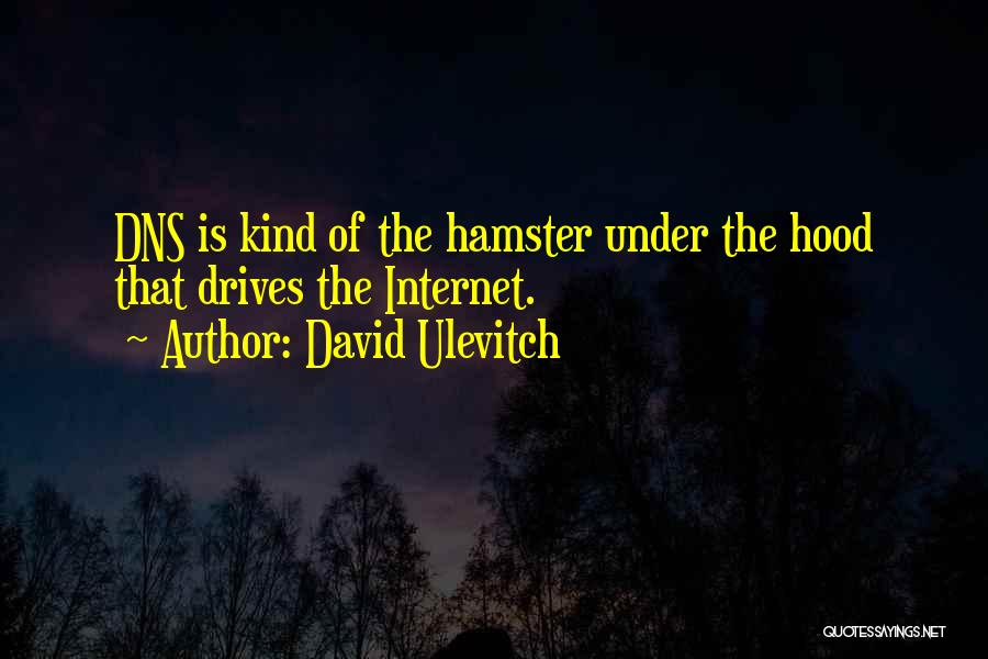 David Ulevitch Quotes 1099600