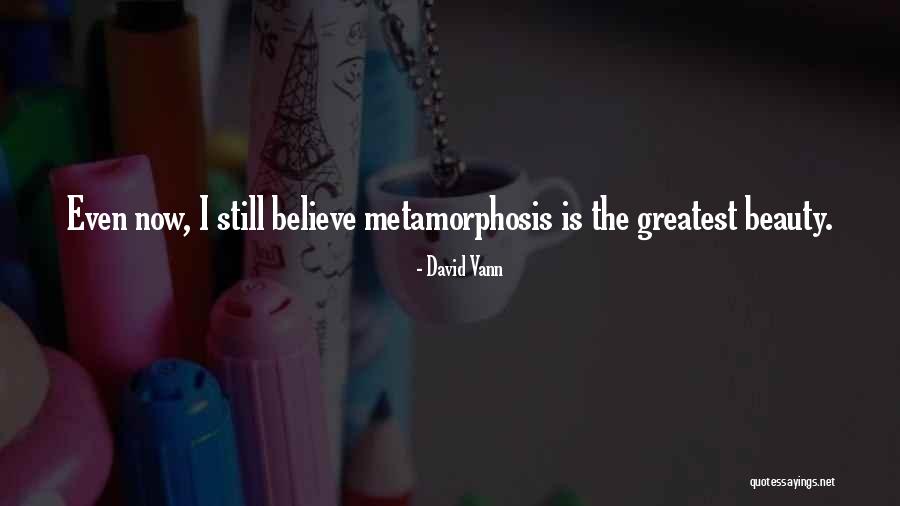 David Vann Quotes 1917387 David Vann Quotes 1917387
