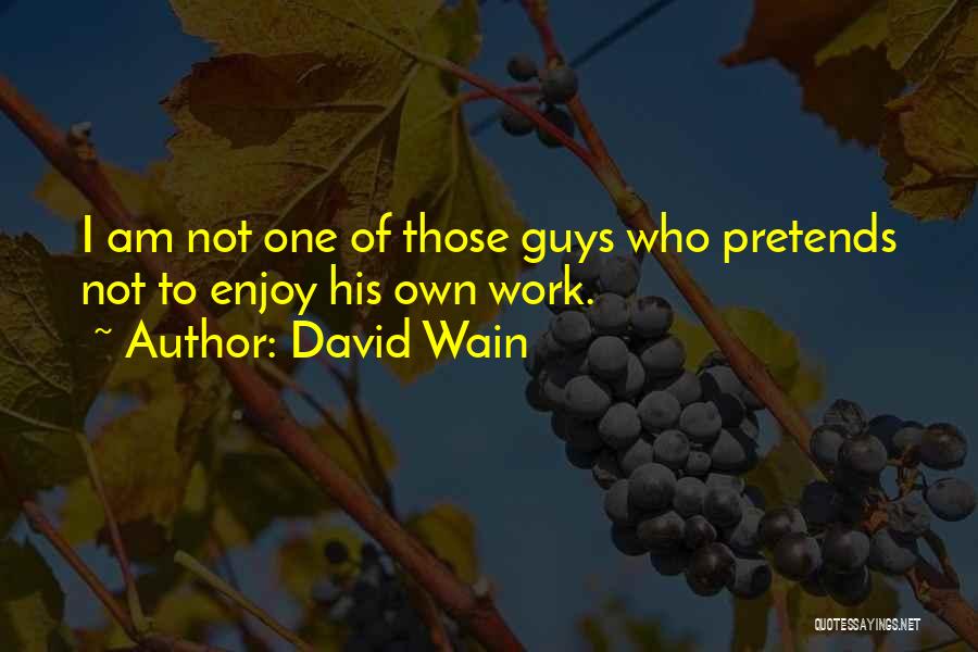 David Wain Quotes 1769536