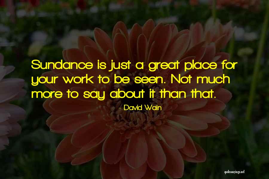 David Wain Quotes 242250 David Wain Quotes 242250