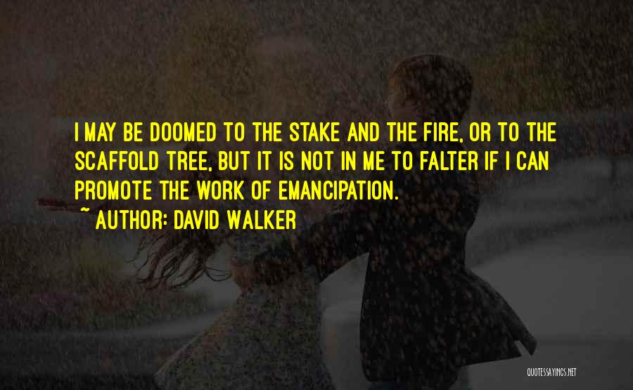 David Walker Quotes 1109127