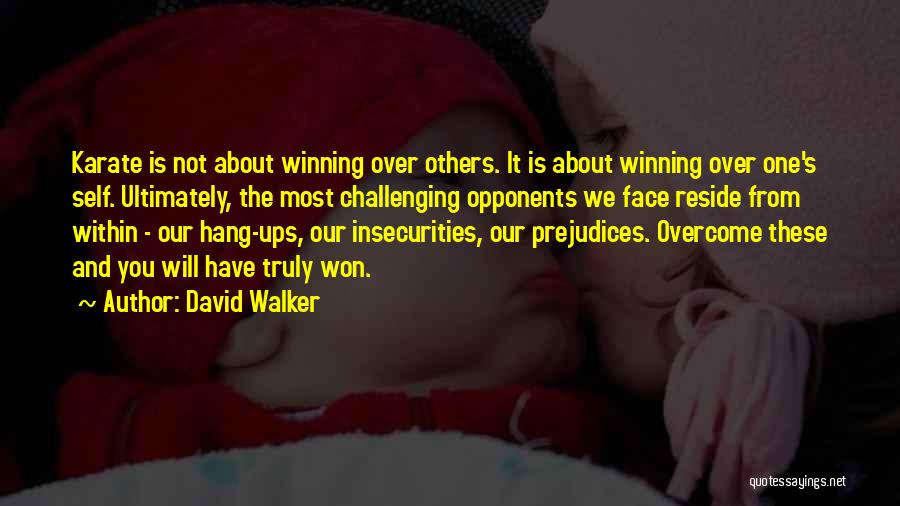 David Walker Quotes 1315563