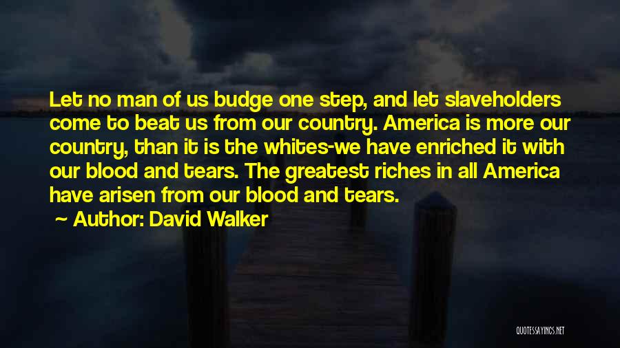 David Walker Quotes 1392483