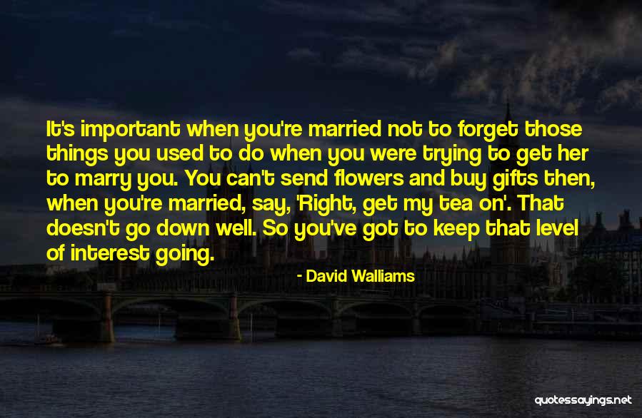 David Walliams Quotes 1439602 David Walliams Quotes 1439602