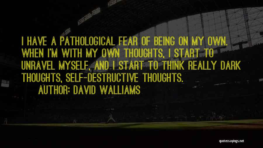 David Walliams Quotes 699802