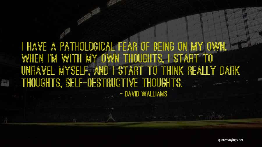 David Walliams Quotes 699802 David Walliams Quotes 699802