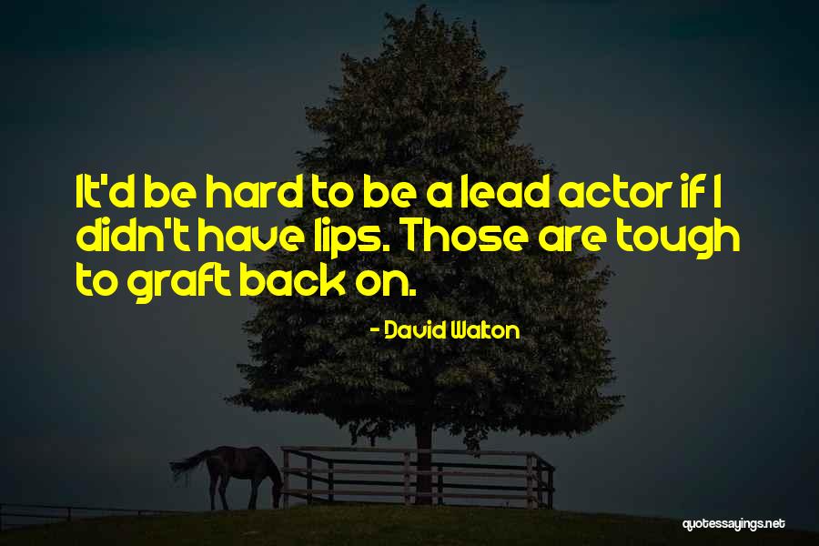 David Walton Quotes 1613810 David Walton Quotes 1613810
