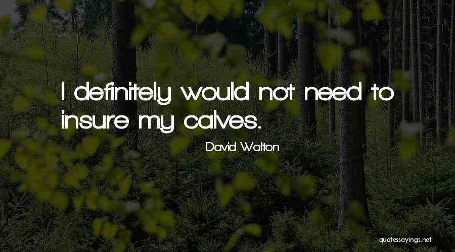 David Walton Quotes 1700649