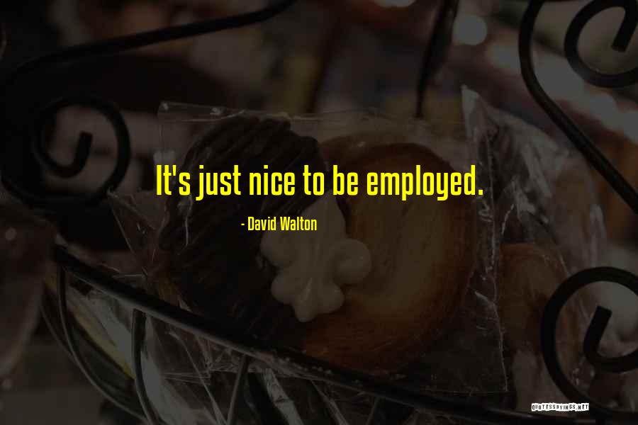 David Walton Quotes 2110424 David Walton Quotes 2110424