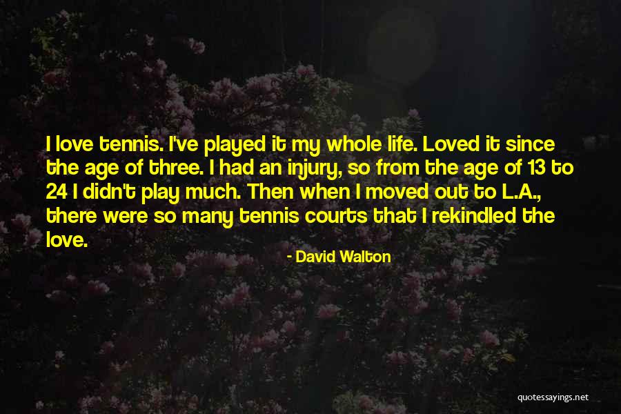 David Walton Quotes 391968