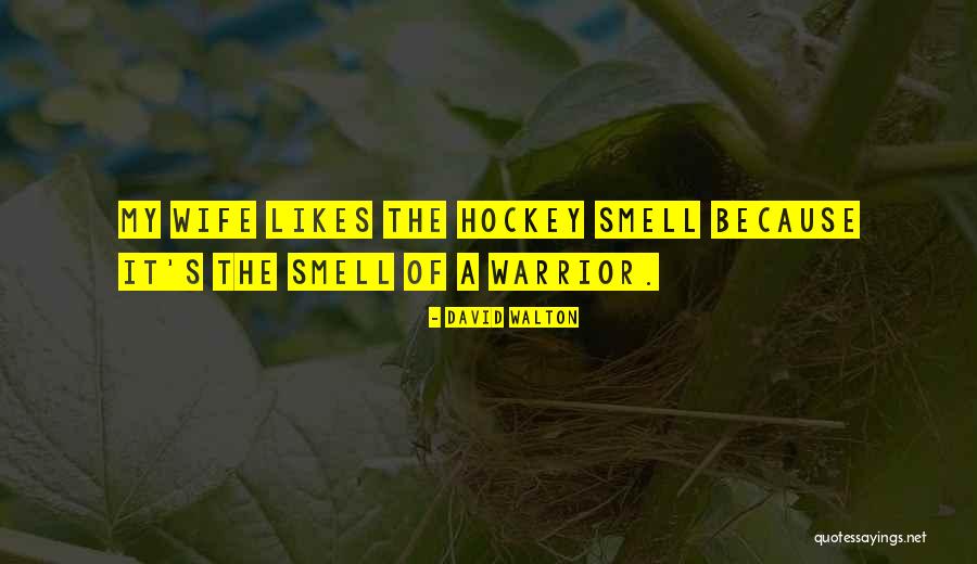 David Walton Quotes 630746 David Walton Quotes 630746