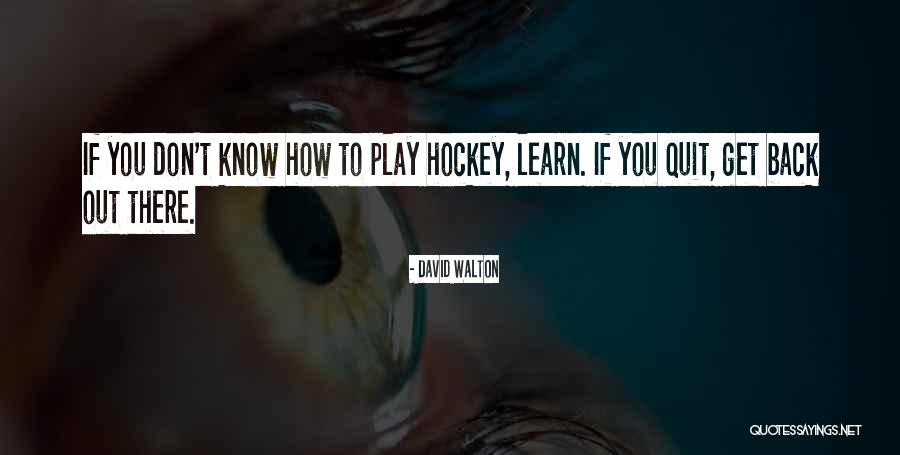 David Walton Quotes 708569 David Walton Quotes 708569
