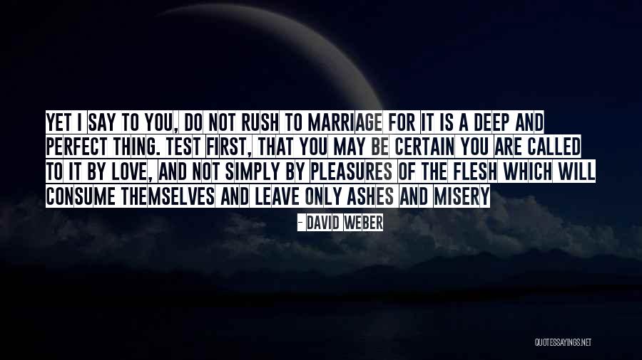 David Weber Quotes 278066