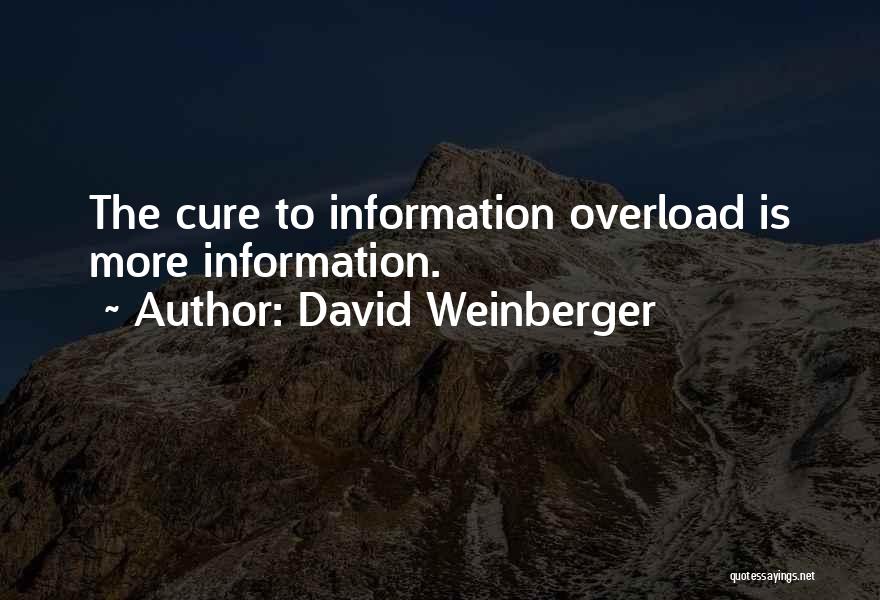 David Weinberger Quotes 1730309