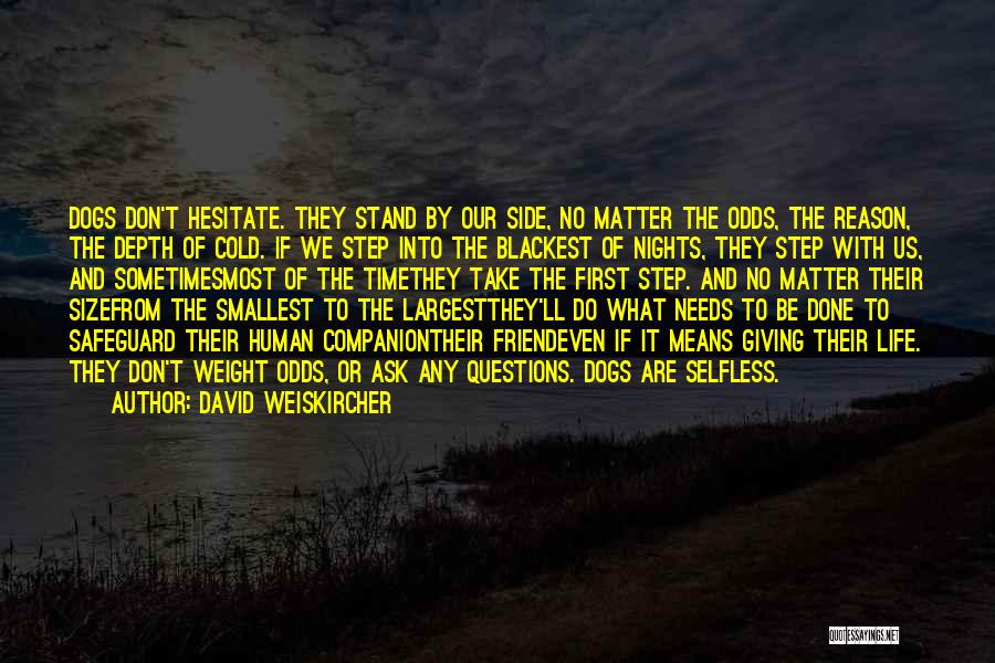 David Weiskircher Quotes 618493
