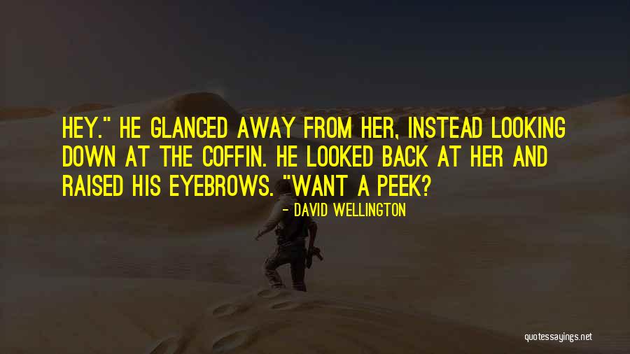 David Wellington Quotes 97756