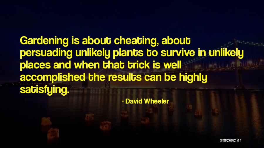 David Wheeler Quotes 776034