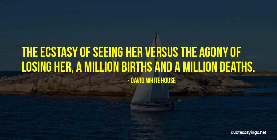 David Whitehouse Quotes 1393978