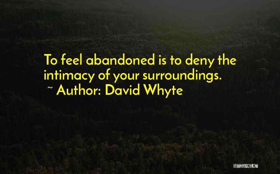 David Whyte Quotes 1150886