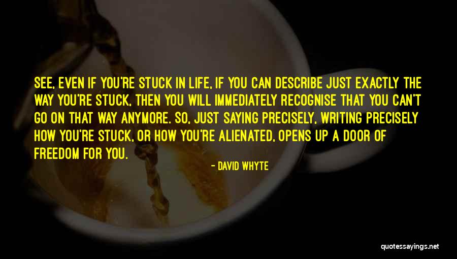 David Whyte Quotes 1265574