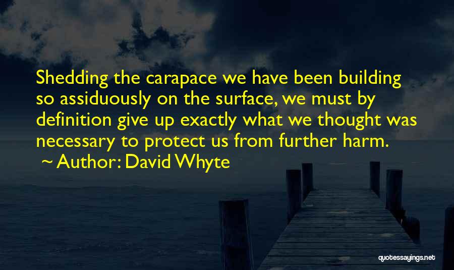 David Whyte Quotes 1615422