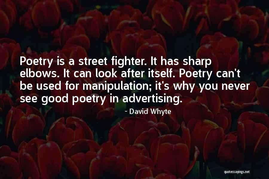 David Whyte Quotes 163619