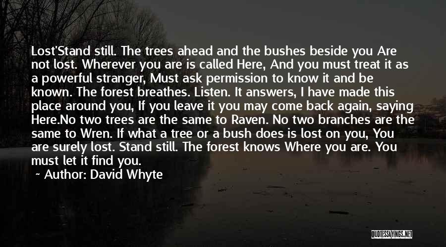 David Whyte Quotes 1675881