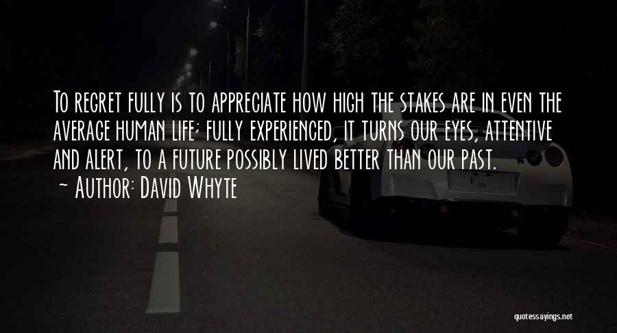 David Whyte Quotes 1724429