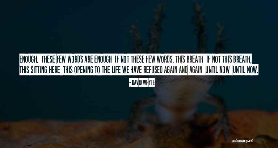 David Whyte Quotes 1788817 David Whyte Quotes 1788817