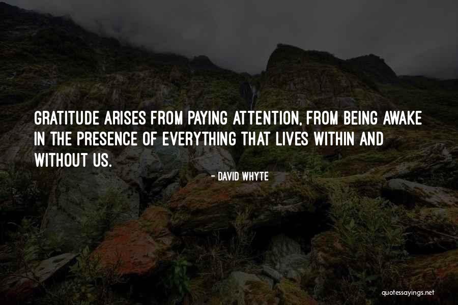 David Whyte Quotes 197955 David Whyte Quotes 197955