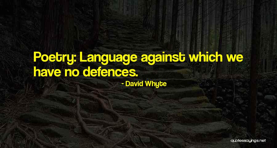 David Whyte Quotes 2007176