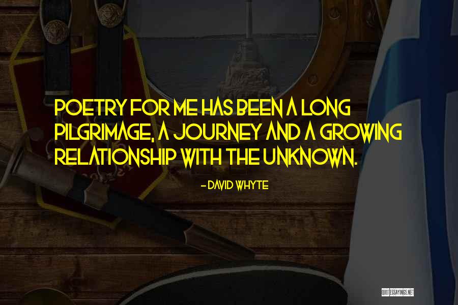 David Whyte Quotes 2025234