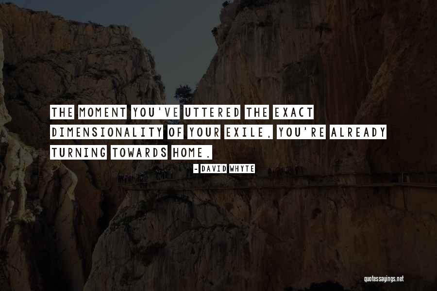 David Whyte Quotes 2052953 David Whyte Quotes 2052953
