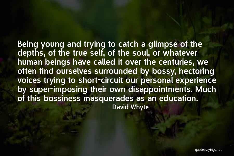 David Whyte Quotes 210671 David Whyte Quotes 210671