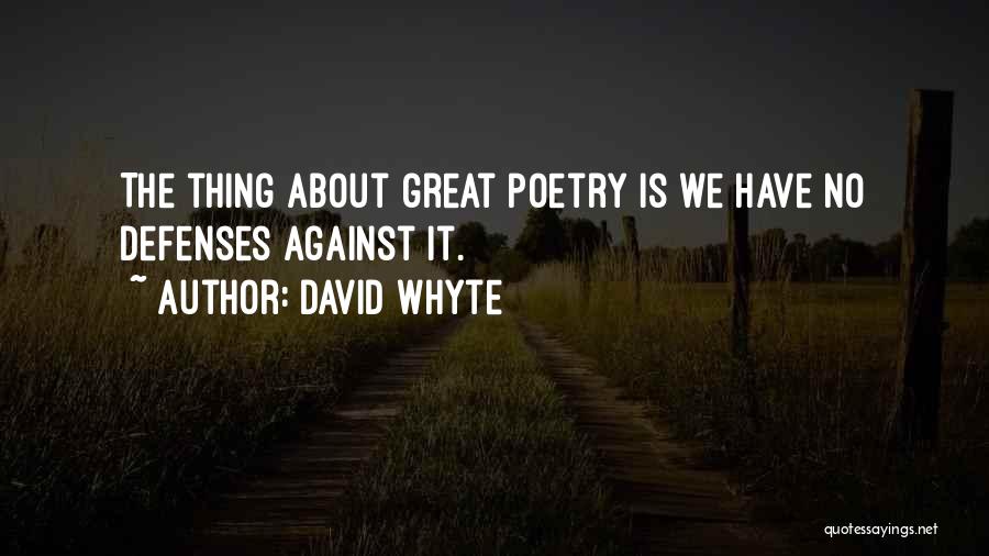 David Whyte Quotes 2167029