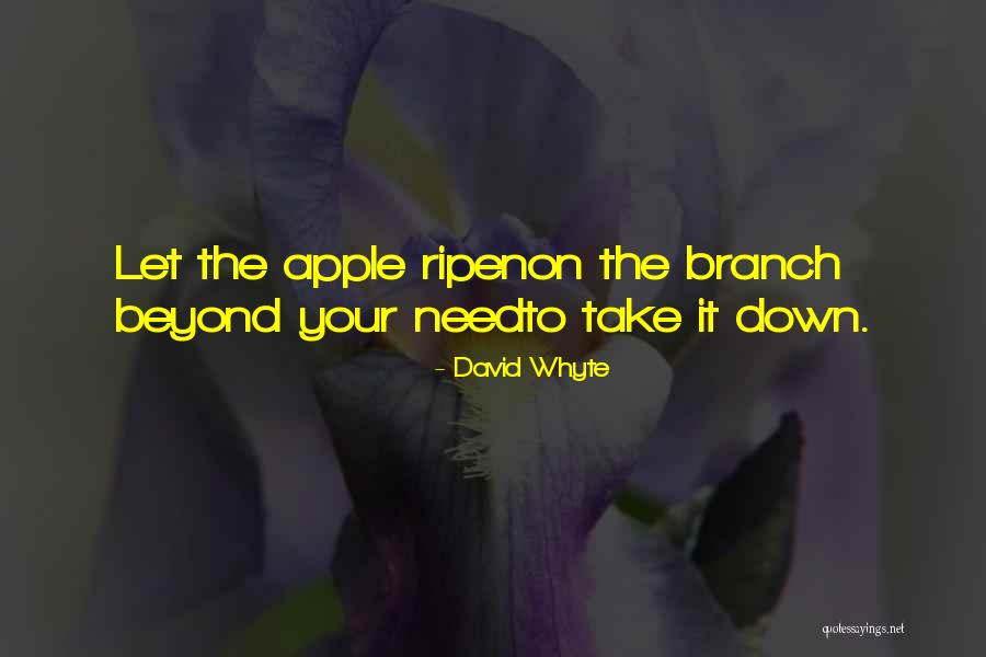 David Whyte Quotes 2209146 David Whyte Quotes 2209146