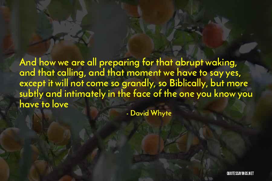 David Whyte Quotes 440454