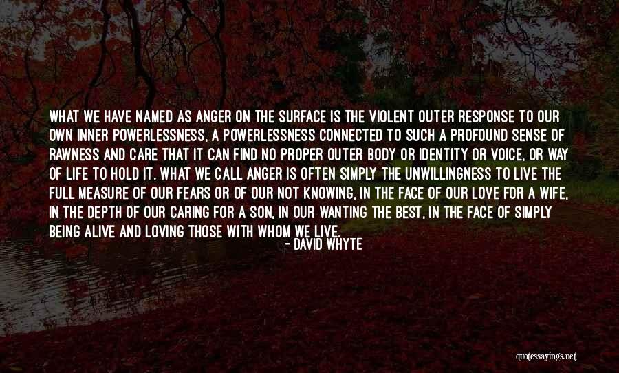 David Whyte Quotes 551697 David Whyte Quotes 551697