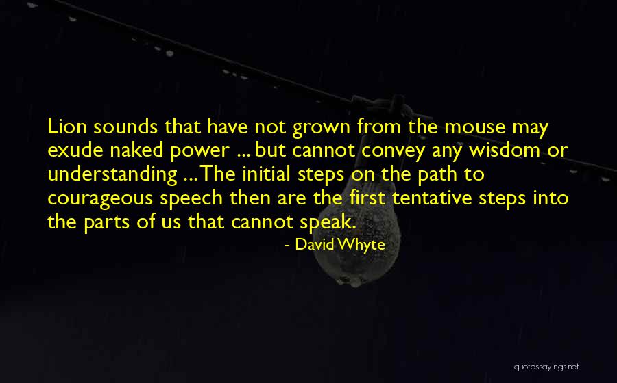 David Whyte Quotes 620830 David Whyte Quotes 620830