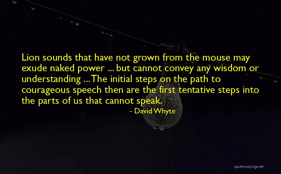 David Whyte Quotes 620830